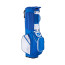Mizuno BR-D3 STANDBAG
