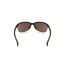 Oakley Unstoppable - Matte Tortoise / Prizm Tungsten Polarized - OO9191-1465 Zonnebril