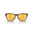 Oakley Frogskin Range