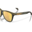 Oakley Frogskin Range